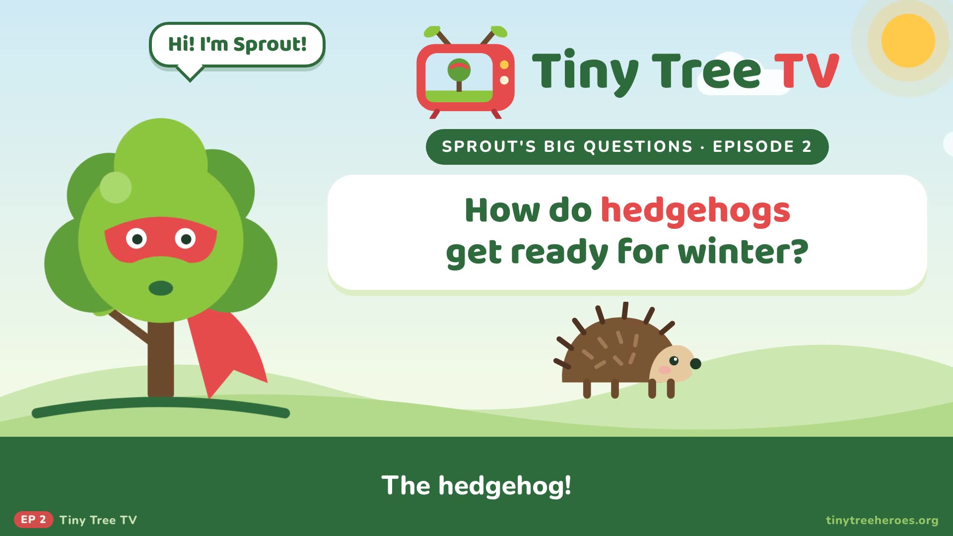 Episode 2: How Do Hedgehogs Get Ready for Winter?